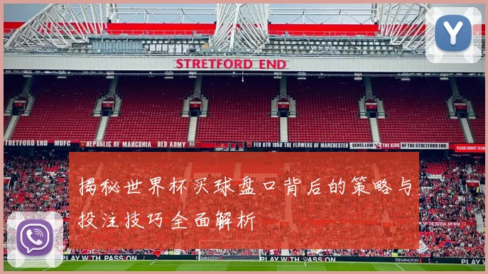 揭秘世界杯买球盘口背后的策略与投注技巧全面解析