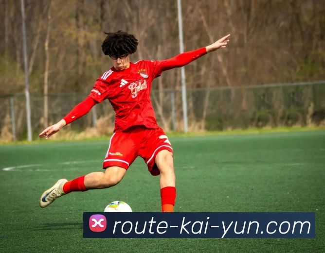 开云平台展示图