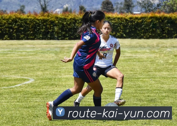 开云体育世界杯热潮席卷全球球迷共享巅峰对决与激情盛宴启新纪元